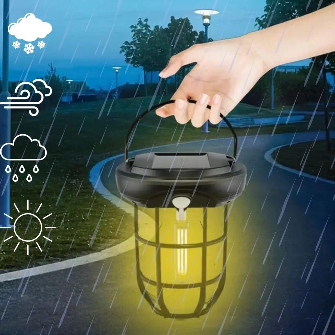 Solar-Powered Decorative Light